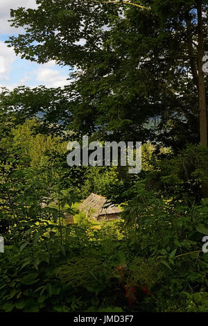 Casa abbandonata in Carpatian montagne, Ucraina. Foto Stock