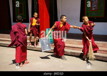 I giovani monaci buddisti suonando mentre facendo faccende, Dharma Centro Chakra, Rumtek, Sikkim, India Foto Stock