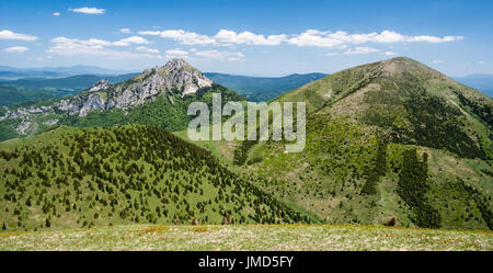 Poludnovy grun, Maly Rozsutec, Velky Rozsutec e Stoh hill da Steny hill in Mala Fatra montagne in Slovacchia durante la bella giornata con cielo blu e pochi Foto Stock