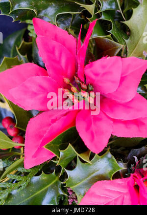 Decorazione di natale di fiori artificiali, circondato da holly foglie, attaccato ad una corona. Foto Stock