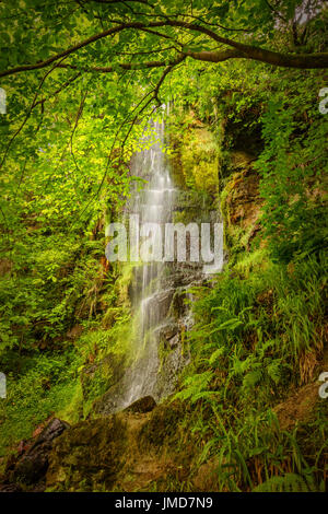 Goathland, North York Moors Foto Stock