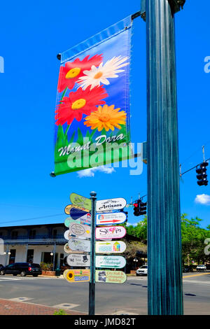 Storico Mount Mt. Dora Florida downtown Donnelly segnaletica stradale alle imprese indicazioni Foto Stock
