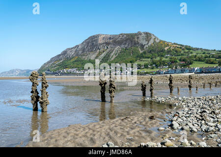 Manchester spiaggia sulla costa settentrionale del Galles Foto Stock