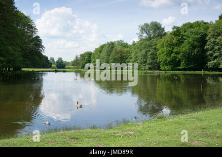 Laguna presso il parco naturale di Hohe Mark, Münsterland, Renania settentrionale-Vestfalia, Germania, Europa