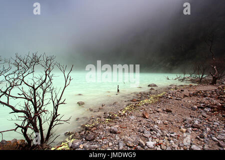 Kawah Putih, noto anche come Cratere Bianco, è una naturale ricco di zolfo lago vulcanico nel West Java, Indonesia Foto Stock