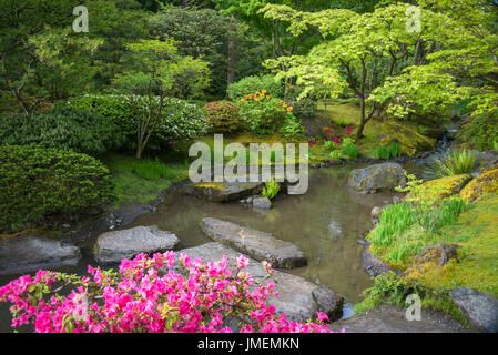 Azalee in fiore lungo il torrente con pietre miliari nel giardino giapponese Foto Stock