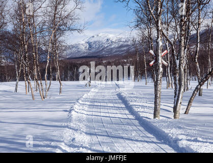 Motoslitta le vie attraverso il paesaggio invernale. Mattina di sole nel marzo fino a Nord. Foto Stock