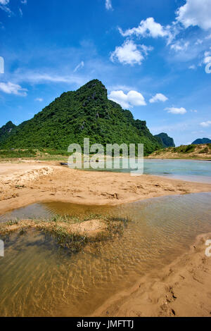 Bufali in un limpido fiume nel Parco Nazionale di Phong Nha Ke Bang, Vietnam. Con grandi montagne e il cielo azzurro in background. Foto Stock