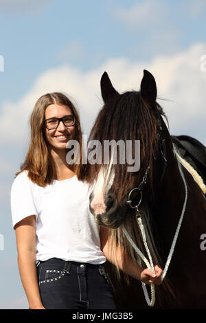 Gypsy Cob. Conducente in piedi su un prato accanto ad un mare. Germania Foto Stock