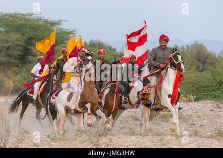 Marwari Horse. Gruppo di Rajputs in galoppo. India Foto Stock