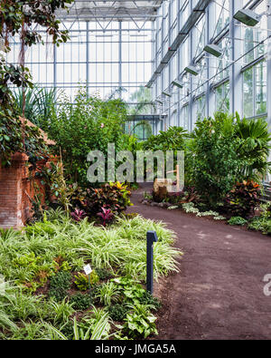 Berlino,Marzahn. Giardini del Mondo Giardino botanico,Gärten der Welt.Tropenhalle,efficienza energetica Tropical casa di vetro,giardino Balinese Foto Stock