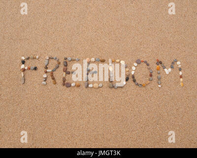 La libertà di parola scritta con pietre e conchiglie sulla spiaggia in riva all'oceano Foto Stock
