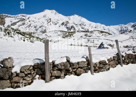 Un snowy vista panoramica in una limpida giornata di campo recinzioni e montagne che circondano la Valle del Lago a Somiedo parco naturale (Asturias, Spagna) Foto Stock
