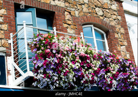 Bellissima vista sul balcone e fiori, Howth, Dublino, Irlanda Foto Stock