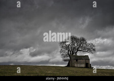 Campo granaio, Youlgrave Foto Stock