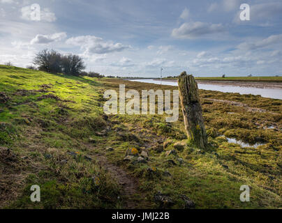 Le pianure costiere dell'Inghilterra forniscono alcune delle più grandi sale naturale paludi nel Regno Unito. Frampton Marsh sull'estuario del lavaggio in Lincolnshire Foto Stock