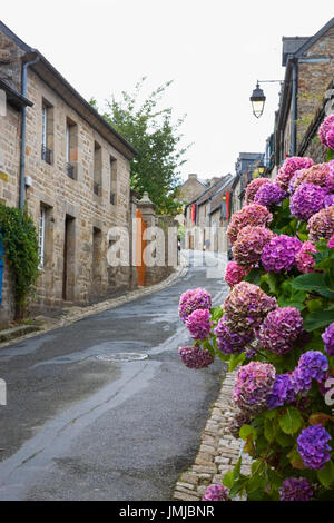 Rue de la Pompe, Moncontour, Côtes d'Armor, Bretagna, Francia, con ortensie in primo piano Foto Stock