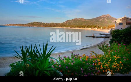 Bellissima spiaggia di Algajola in Corsica Foto Stock