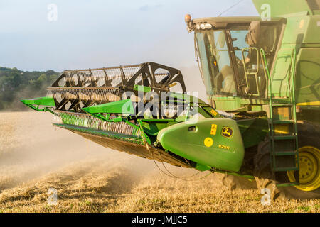 Testata sollevata che mostra l'aspo e la barra falciante e la cabina di una mietitrebbia durante la mietitura del grano, England, Regno Unito Foto Stock