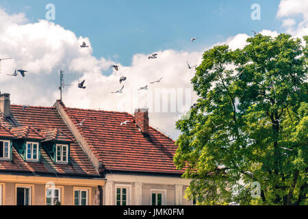 Sandomierz tetti di edifici Foto Stock