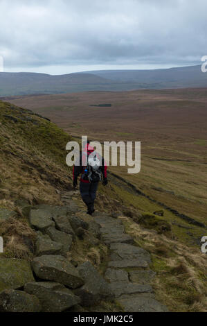 Un viandante che si affacciava su Pen-y-Ghent Valley in Yorkshire Dales Foto Stock