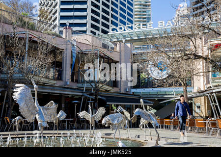 Dancing Brolgas fontana al Cockle Bay Wharf in Sydney Darling Harbour, Nuovo Galles del Sud, Australia Foto Stock