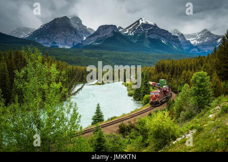 Treno che passa attraverso la Morant la curva in bow valley con Montagne Rocciose in background, il Parco Nazionale di Banff, Alberta Canada Foto Stock