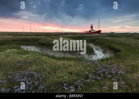 Guardando attraverso il saltmarsh verso la lightship Tollesbury, Essex, Inghilterra, Regno Unito all'alba Foto Stock