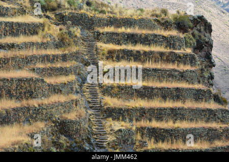 Incolto terrazzamenti agricoli lungo il sentiero escursionistico presso le antiche rovine Inca di Pisac Foto Stock