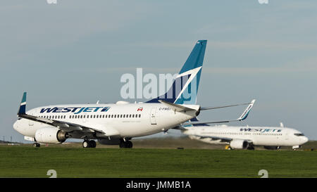 Calgary, Alberta, Canada. 24 Ago, 2016. Due WestJet Boeing 737 aerei a fusoliera stretta a singolo getto dei corridoi aerei di linea a preparare per la partenza dall'Aeroporto Internazionale di Calgary. Credito: Bayne Stanley/ZUMA filo/Alamy Live News Foto Stock