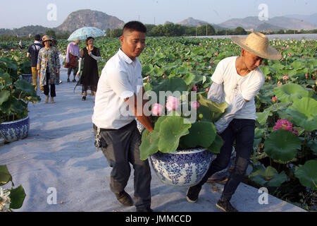 Changxing cinese della provincia dello Zhejiang. 28 Luglio, 2017. Gli agricoltori offrono vasi di fiori di loto per i clienti, in Lyushan villaggio di Changxing County, est della Cina di Provincia dello Zhejiang, 28 luglio 2017. Gli agricoltori locali hanno beneficiato di coltivare lotuses ornamentali. Credito: Li Mingfang/Xinhua/Alamy Live News Foto Stock