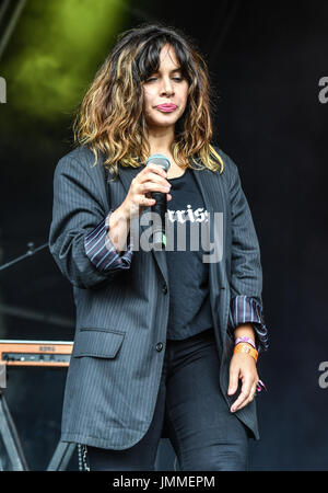 Lulworth Castle, Dorset, Regno Unito. 28 Luglio, 2017. Eseguire Mexrrissey sul palco del castello a Camp Bestival 2017, Venerdì, Lulworth Castle, Dorset, UK Credit: Jules annan/Alamy Live News Foto Stock