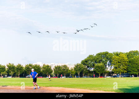 Washington DC, Stati Uniti d'America - 4 Agosto 2016: felice, popolo sorridente a giocare a baseball sul National Mall con triange di oche flying overhead Foto Stock