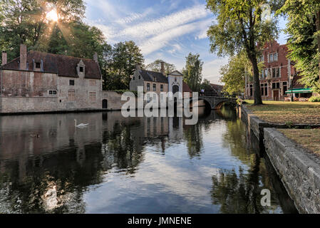 Vista panoramica del parco Minnewater con bellissimi cigni bianchi in serata primaverile in parte medievale di Bruges (Brugge), Belgio Foto Stock