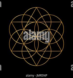 Fiore della Vita. Vettore d'oro Geometria Sacra isolati su nero. Illustrazione Vettoriale