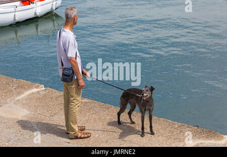 Uomo che cammina lurcher cane lungo la parete del porto a Lyme Regis, Dorset in luglio Foto Stock