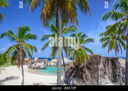 Alloggiamento molla con palme e boulder dai bagni, bagni, Molla Bay, Virgin Gorda Isola, Isole Vergini Britanniche, Mar dei Caraibi Foto Stock