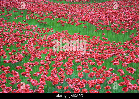 Amazing Poppies sulla Torre di Londra, Regno Unito Foto Stock