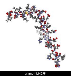 Beta amiloide (Abeta peptide). Componente principale delle placche trovati nella malattia di Alzheimer. Sfera-e-stick modello convenzionale con codifica a colori. Foto Stock