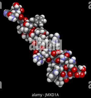 Il glucagone ormone peptidico. Ha livello di zucchero nel sangue aumentando gli effetti, bilanciando l'effetto dell'insulina. Di riempimento di spazio modello convenzionale con codifica a colori. Foto Stock