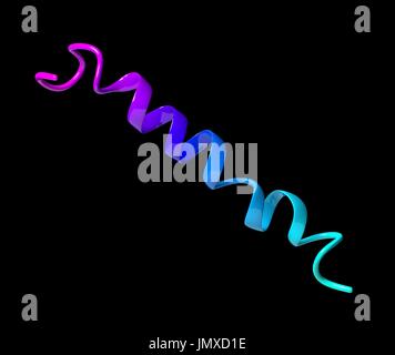 Simile a glucagone il peptide 1 (GLP1, 7-36) molecola. GLP-1 analoghi sono utilizzati nel trattamento di diabete e includono exenatide, liraglutide, lixisenatide, albiglutide, dulaglutide, semaglutide. Modello di Cartoon, gradiente di backbone di colorazione. Foto Stock