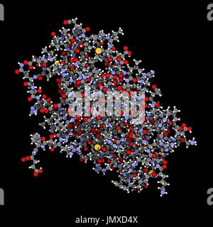 Interferone alfa 2a (IFNA2 molecola). Interferone pegilato analoghi di questa citochina sono utilizzati per il trattamento di epatite B e C le infezioni. Sfera-e-stick modello convenzionale con codifica a colori. Foto Stock