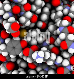 Livello atomico close-up della tripsina enzima digestivo superficie. Vista della superficie della proteina, tipico che mostra i dettagli strutturali comprendente un residuo di tirosina, obbligazioni, un legame ammidico e ammina libera carbossile e gruppi funzionali. Spazio modello di riempimento convenzionale con codifica a colori. Foto Stock