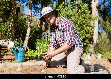 Uomo felice piantando alberello nel giardino in una giornata di sole Foto Stock