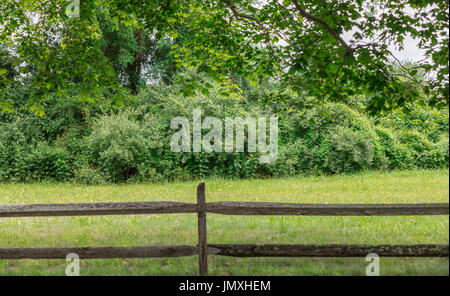 Campo, split cancellata con alberi in background in north haven ny Foto Stock