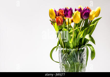 Tulip fiori in un vaso di vetro Foto Stock