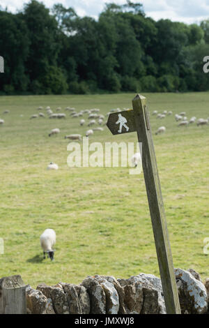 Sentiero pubblico segno davanti a un campo con le pecore. Yanworth, Cotswolds, Gloucestershire, Inghilterra Foto Stock