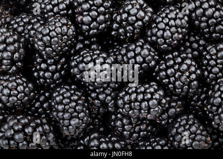 Blackberry texture di sfondo Foto Stock