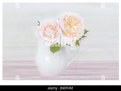 Close up still life studio di due peach roses in una brocca Foto Stock