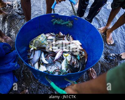 Airkuning, Bali, Indonesia. 29 Luglio, 2017. Una giornata di catture tirato da una rete stabiliti dai pescatori in Kuning, un musulmano villaggio di pescatori sull'angolo sud-ovest di Bali. Gli abitanti di un villaggio detto loro regolare delle catture di pesce è stato in diminuzione per diversi anni e che sono alcune mattine che tornano a riva con aver catturato un pesce. Credit: Jack Kurtz/ZUMA filo/Alamy Live News Foto Stock